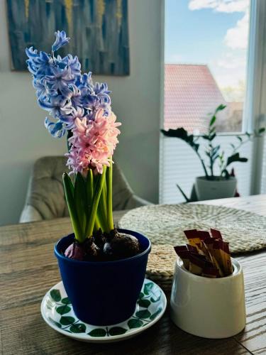 Purgen Apartment | gemütliche Ferienwohnung mit Garten