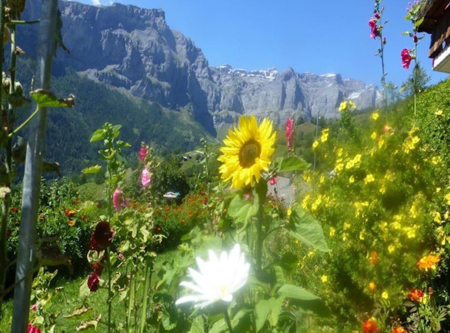 Albinen Apartment | Gemütliche sonnige Wohnung Bergpanoramasicht