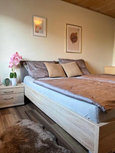 Niklasdorf Apartment | Gemütliche Wohnung/cozy apartment Niklasdorf