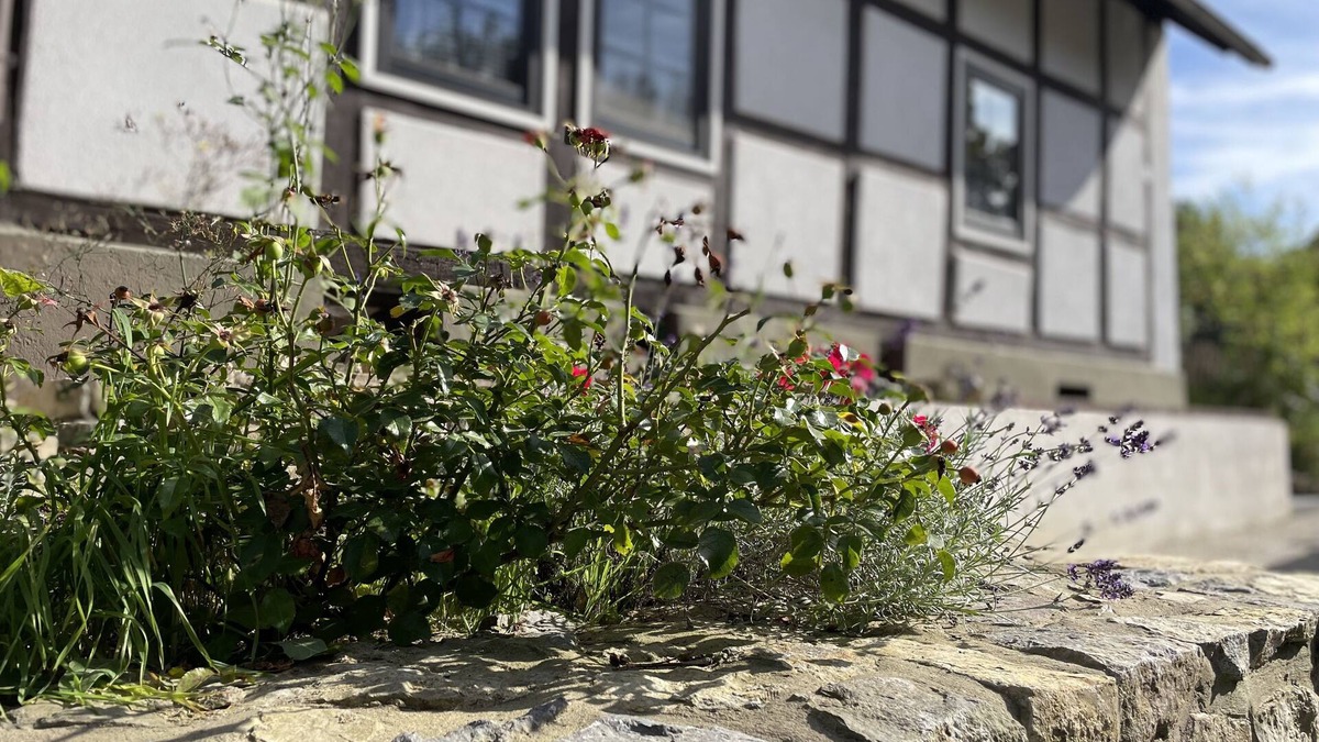 Kalletal House | Gemütliches Fachwerkhaus im Kalletal