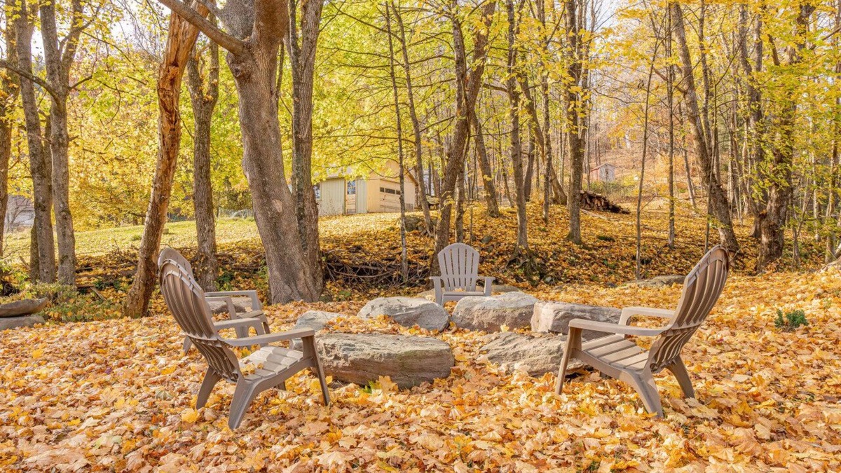 Callicoon Center House | GEM: Cozy for Fall Family Cottage nr Restaurants and Bars