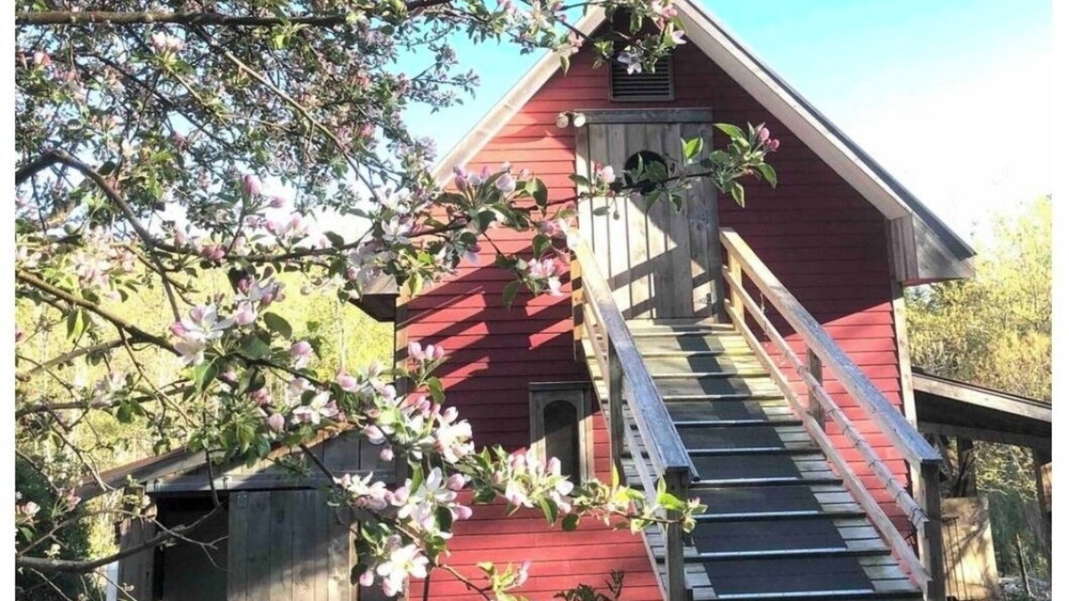 Franklin Cabin | Genuine Farm experience! Barn loft on Organic Farm—pet pig and chickens below!