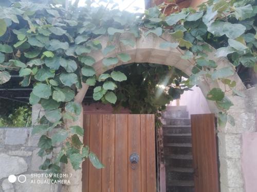 Filaki Ski Chalet | George Traditional Villa