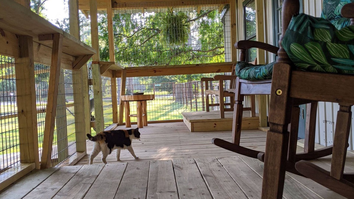Cypress Cottage | Gerries Place1 - PRIVATE- Unique Cottage- Rescue Llama Ranch - Suburb of Houston