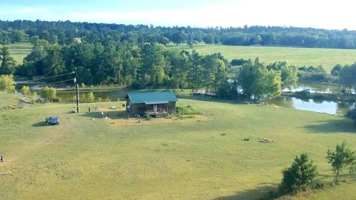 Huntsville Cabin | GETAWAY LOG CABIN with 2-ACRE POND FOR REST AND RELAXATION