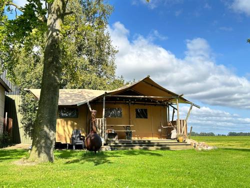 Emmeloord Other | Gewoon Ann-ders