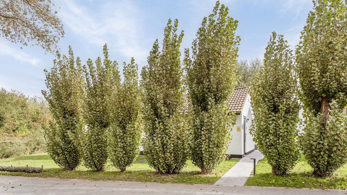 Westouter House | Gezellig Huisje in Westouterparadijs Voor Fietsers en Wandelaars