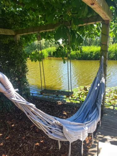 Medemblik House | Gezellige Pipo met grote schommel aan het water en hottub