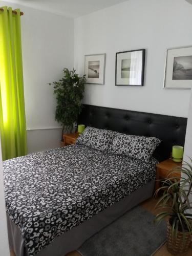 Gizycko Apartment | Giżycko Studio Apartament