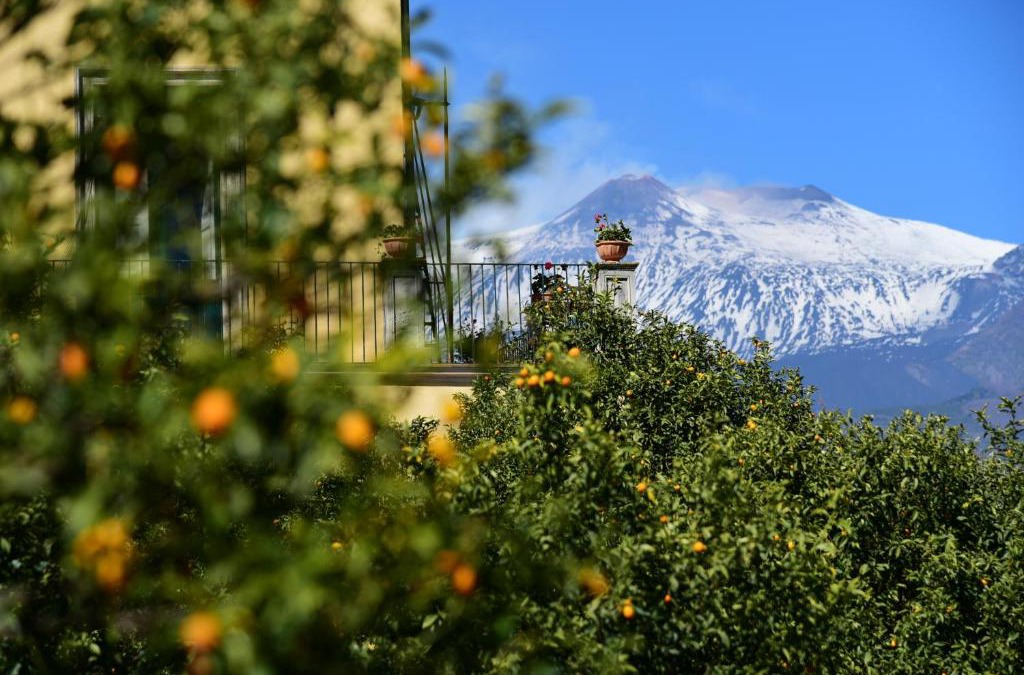 Archi Bed & Breakfast | Giardino Arancio