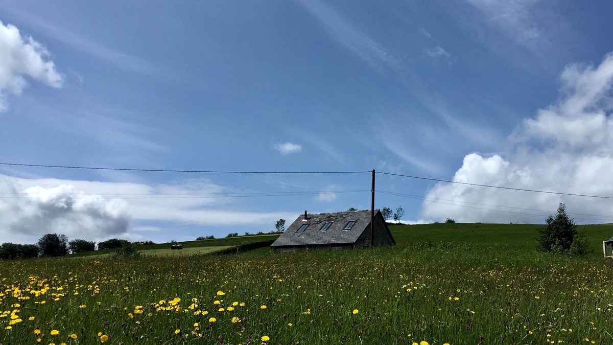 Longford House | Gig house converted to a one bedroom cottage