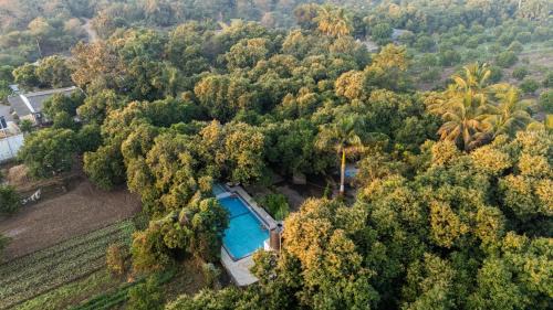 Talala Resort | Gir County Resort