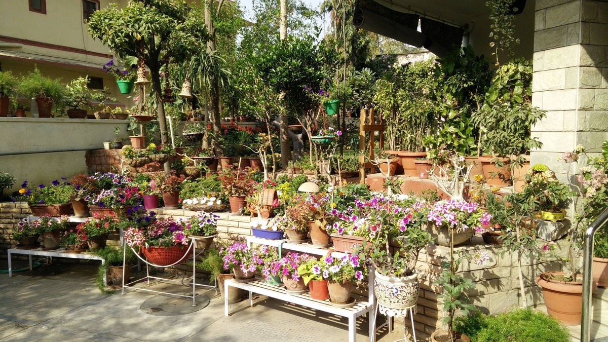 Panch Batti Hotel | Girisadan Homestay