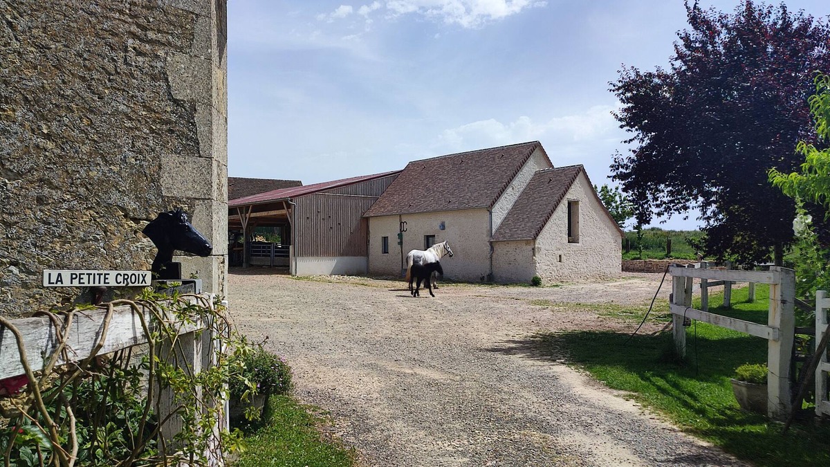 Saint-Fulgent-des-Ormes Other | Gite à la Ferme Dans le Perche