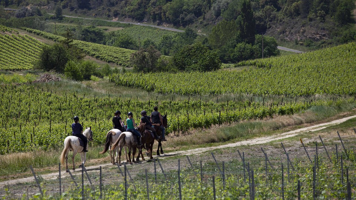 Saint-Benoit House | Gite (18p) in the heart of nature, many outdoor activities