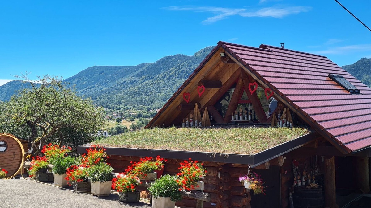Ville Ski Chalet | Gite Alsace Le chalet Les Prunelles Sauvages Spa/Jacuzzi-sauna