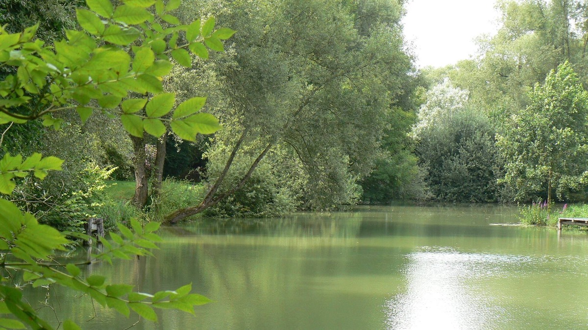 Sampigny Cottage | Gîte and pond access