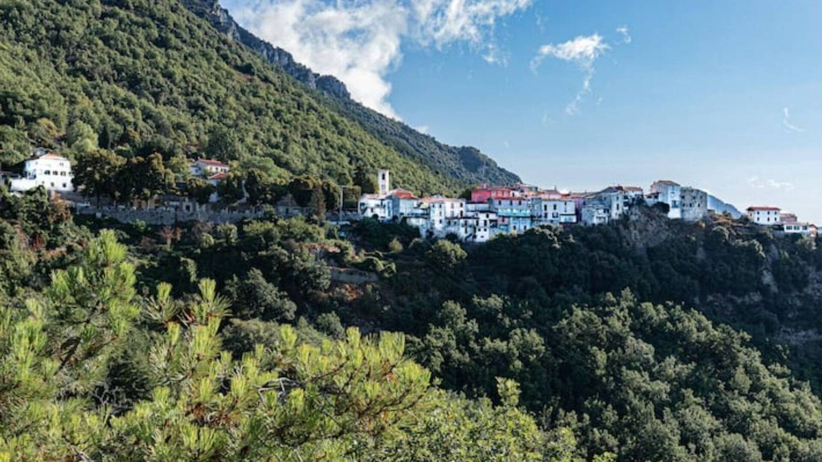 Revest-les-Roches Apartment | Gite Arrière Pays Niçois