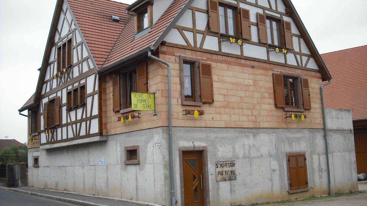 Kintzheim Apartment | Gite center Alsace at the foot of Haut Koenigsbourg N°1