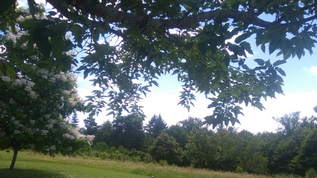 Champagnac-de-Belair Cottage | Gite Champagnac-de-Belair, 2 bedrooms, 5 persons
