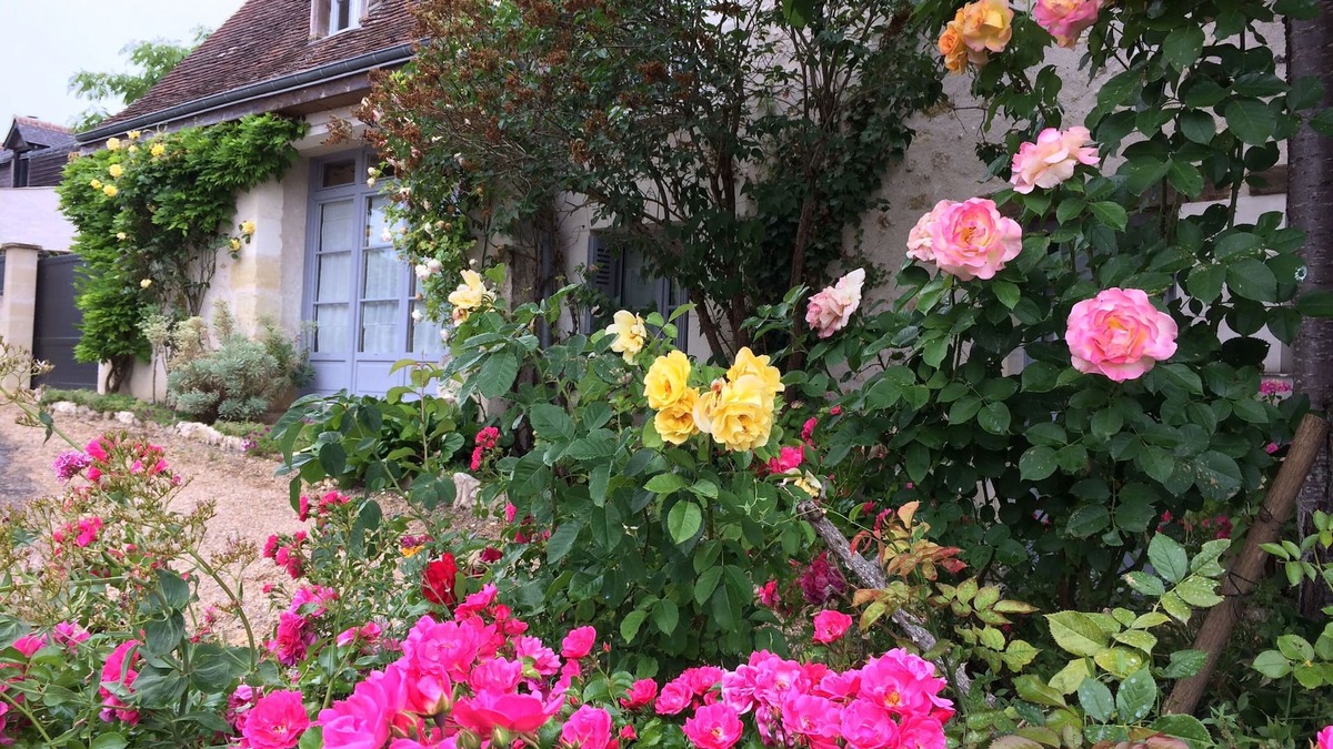 Amboise House | GITE, CHARMING HOUSE CLASSIFIED 3 STARS IN AMBOISE overlooking the Loire