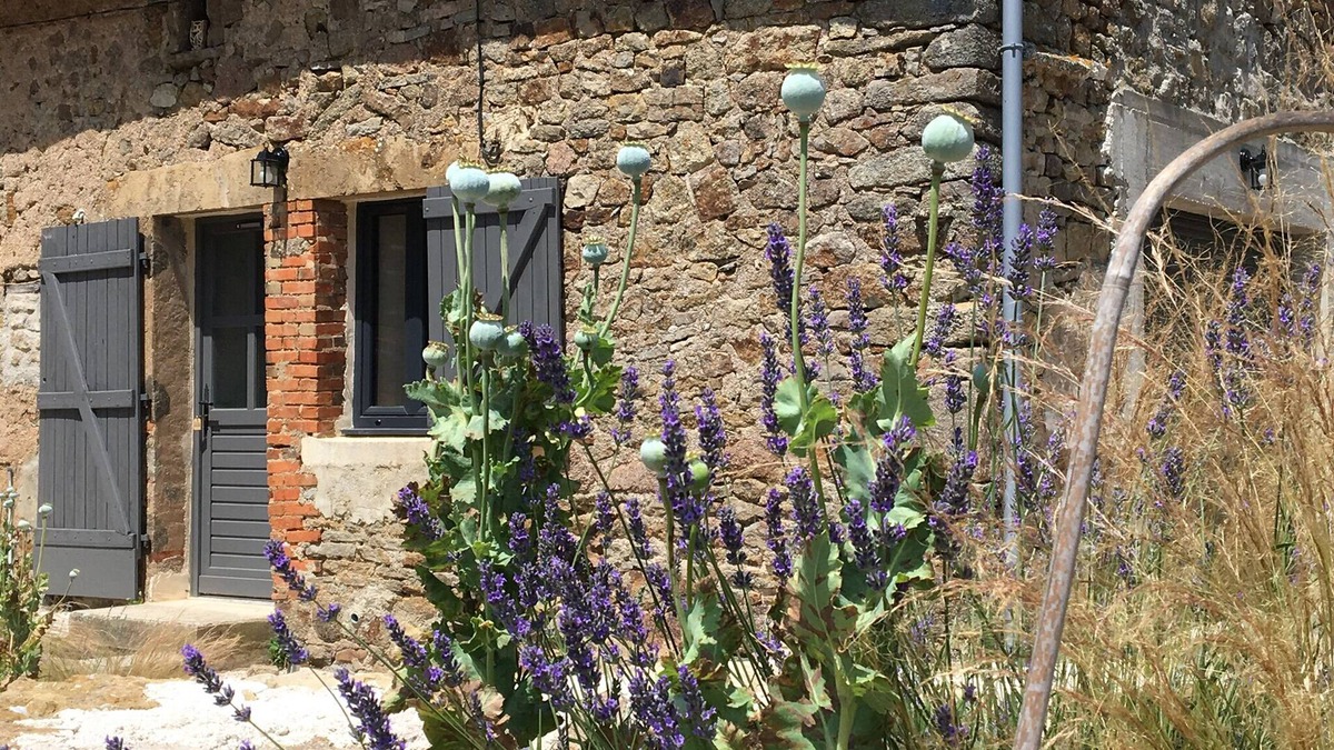 Montigny-sur-Armancon House | Gîte de la Pisserotte, located in the countryside at the tail of Pont lake