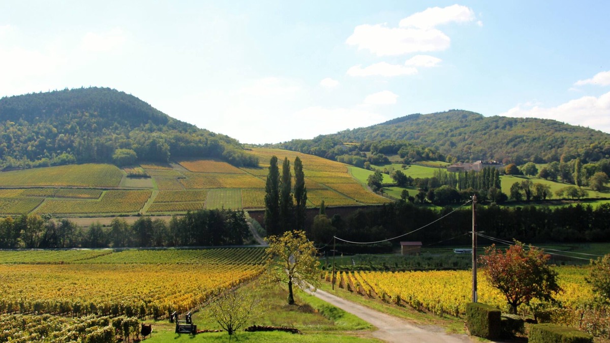 Maconnais Beaujolais Agglomeration House | Gîte de "La Bauderie", in the heart of the Mâconnais vineyards