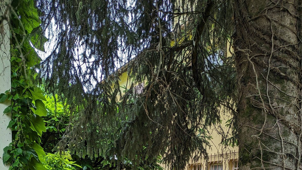 Verdun-sur-le-Doubs House | Gite DES 3 Rivieres