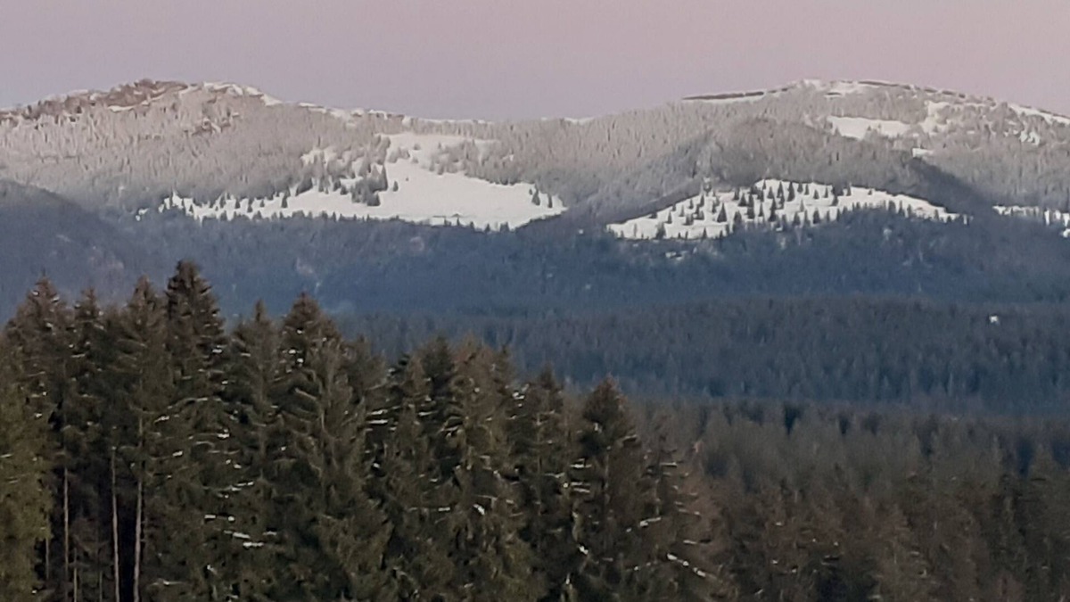 Mazire Apartment | Gîte des Hauts Sapins 4* - 10 pers. An ideal location and a soothing atmosphere.