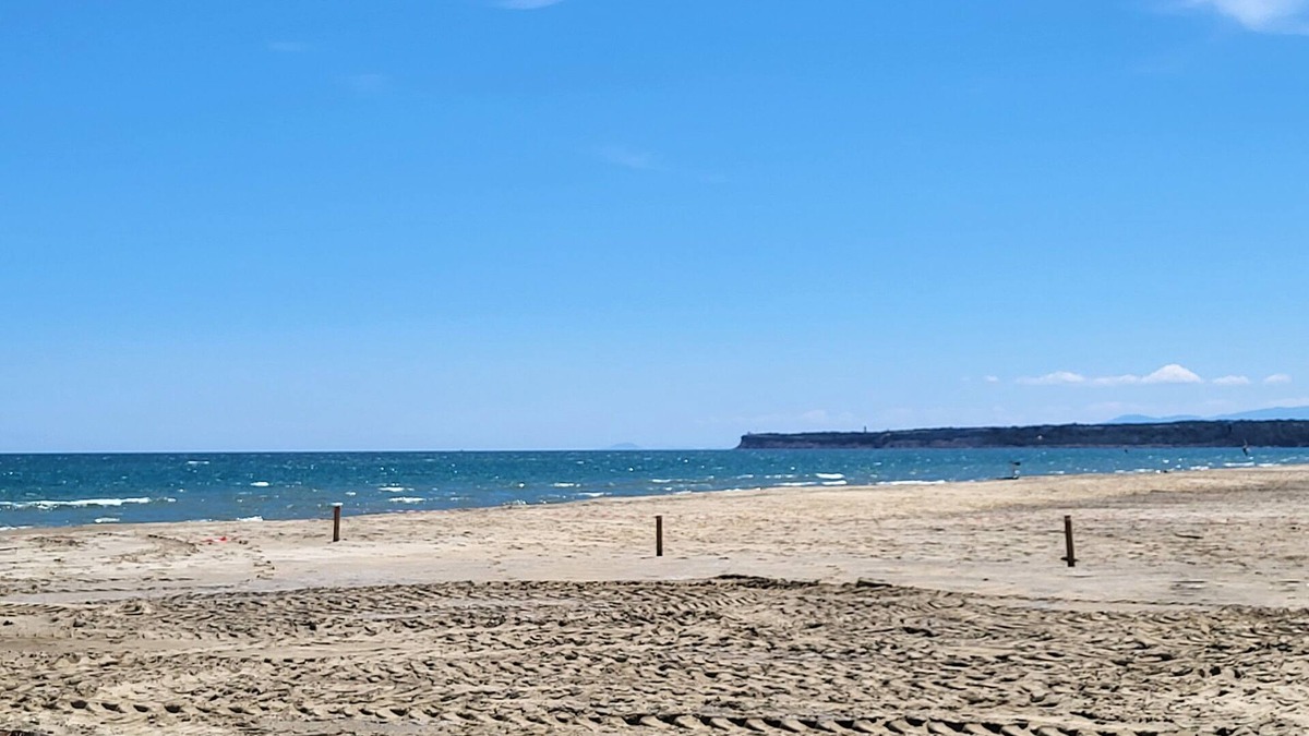 La Palme House | Gite du Citronnier : Séjour Agréable Dans un Village Près de Plages Sauvages