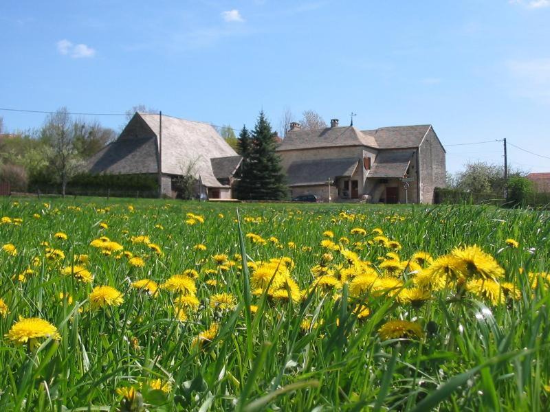 Amondans House | Gite du Repos