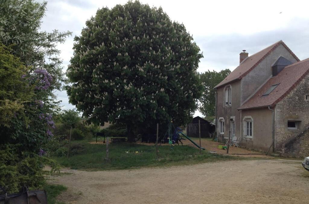 Noyant-Villages House | Gite entier Calme Bucolique Animaux Bon prix
