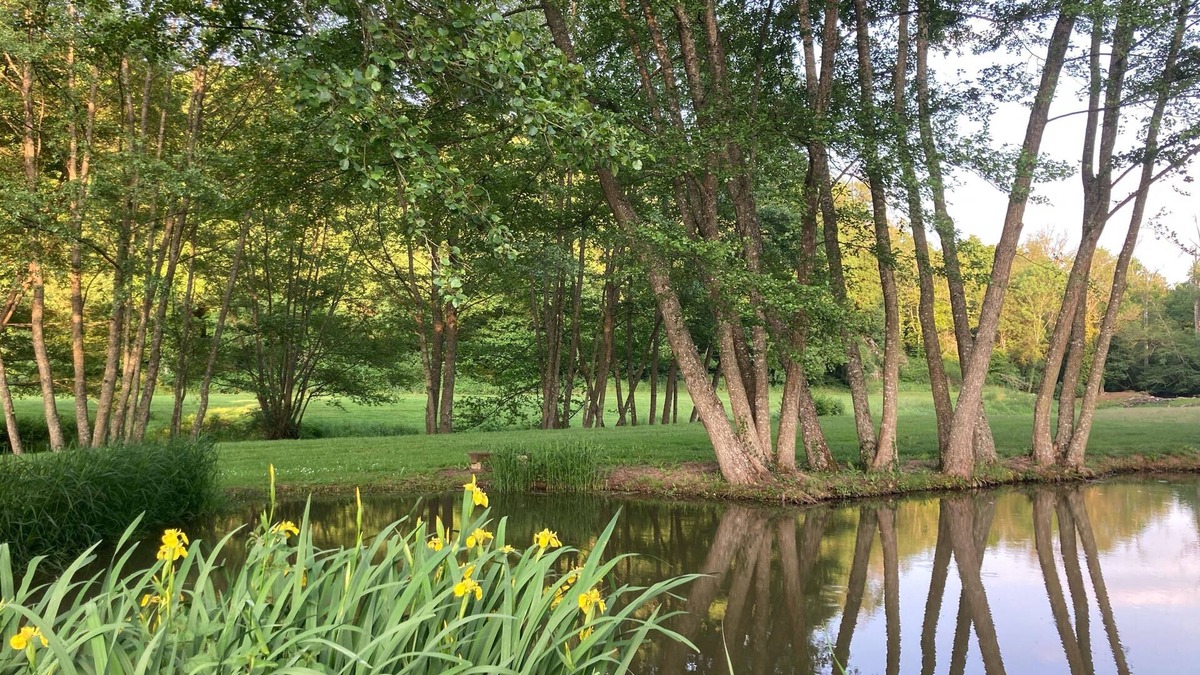 Montigny-Saint-Barthelemy House | Gîte in the middle of nature with river and wood views in the Morvan region of France