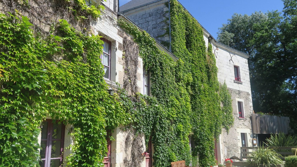 Saint-Melaine-sur-Aubance House | Gite in the heart of the vineyards in Anjou