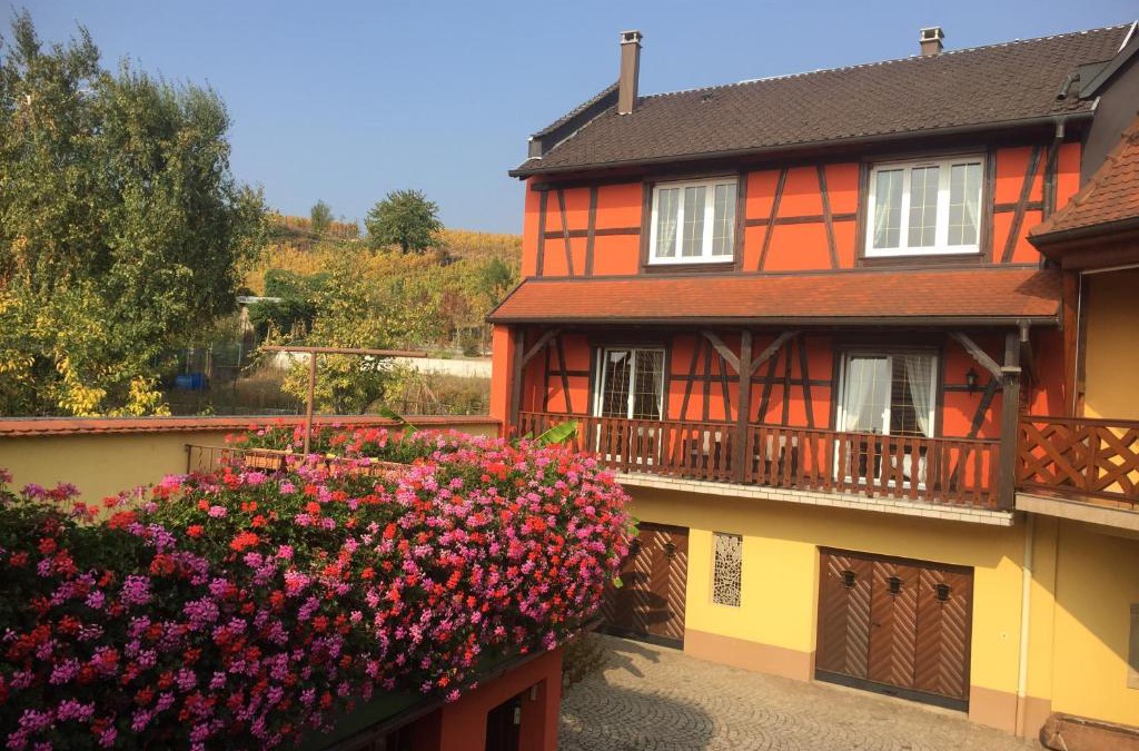 Itterswiller Apartment | Gite Fruehmess