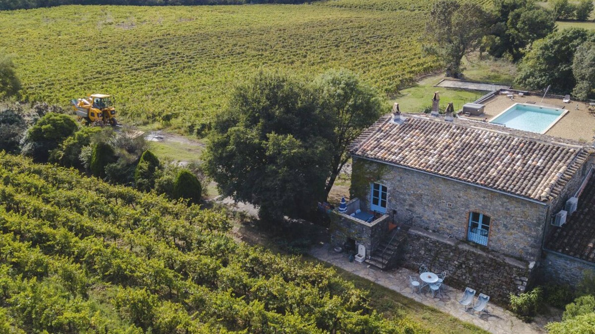 Fressac Other | Gîte in the middle of the vineyards with swimming pool, jacuzzi, air conditioning