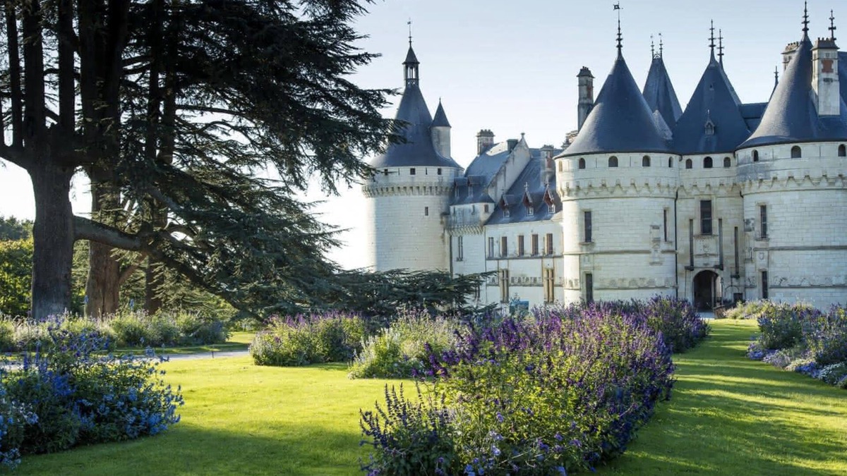 Cour-Cheverny House | Gîte "la petite solognote" - Castles and Zoo of Beauval - 4 persons
