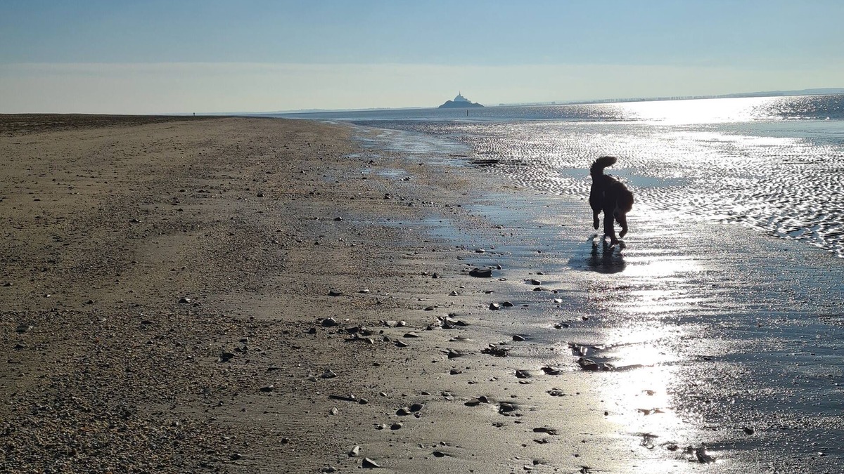 Dragey-Ronthon House | Gite "Le Mont Saint Michel" 600 m de la Plage Chèques Vacances Acceptés