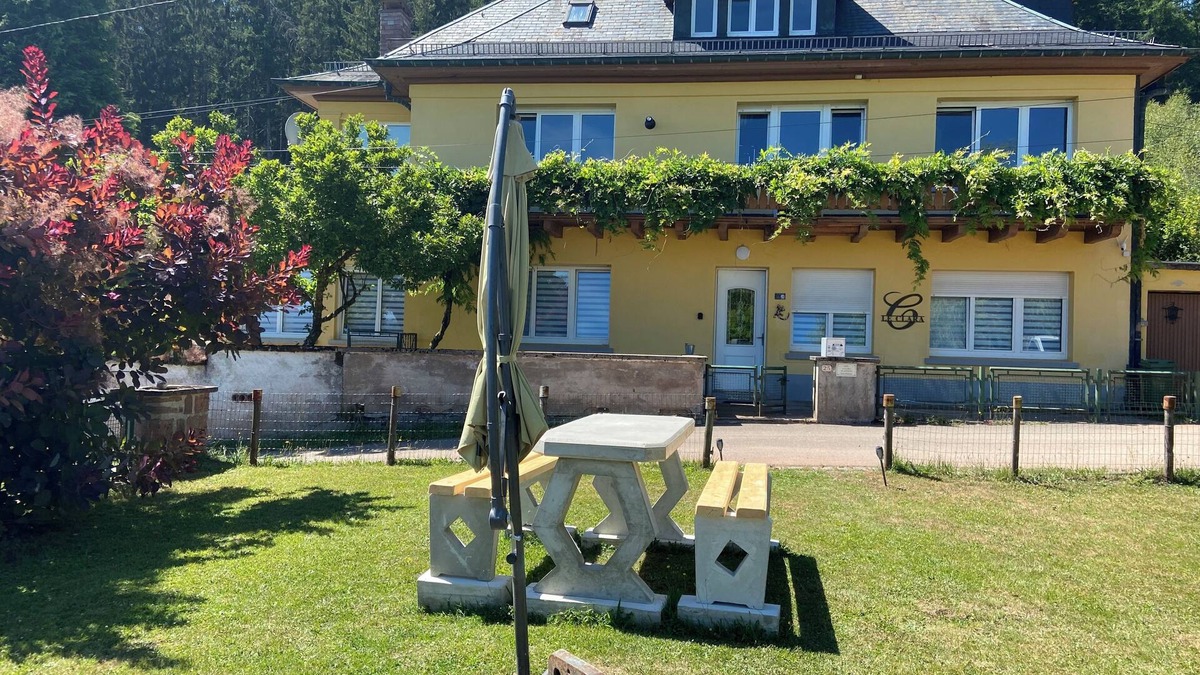 Saulxures House | Gîte LeCLARA in the mountains, billiards, jacuzzi, sauna. pets allowed