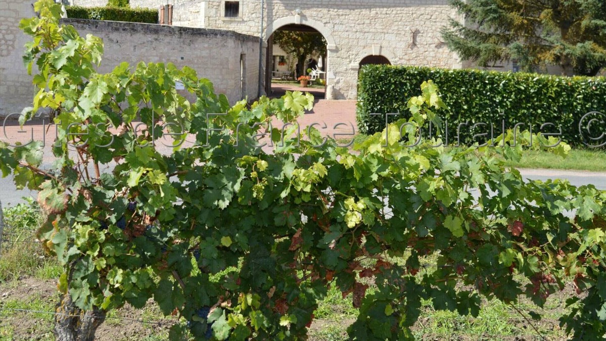Ligre Cottage | Gite Ligré, 7 bedrooms, 15 persons