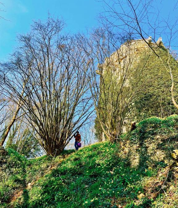 Tournebu House | Gite nadège à l Ombre d'une Tour