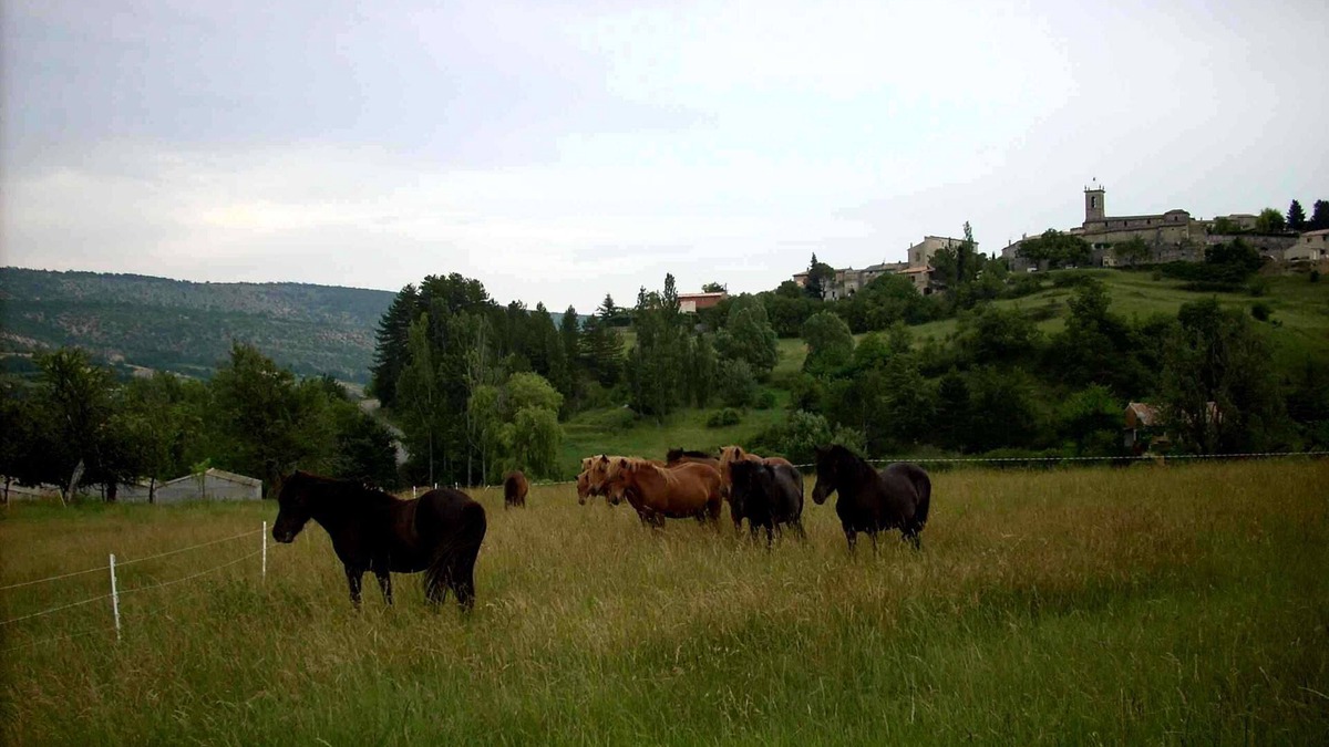 Revest-des-Brousses Cottage | GITE PROVENCE LUBERON, PACA REGION