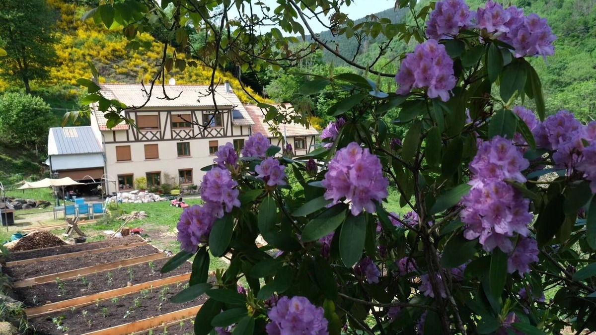 Rombach-le-Franc Apartment | Gite Saint Ludan