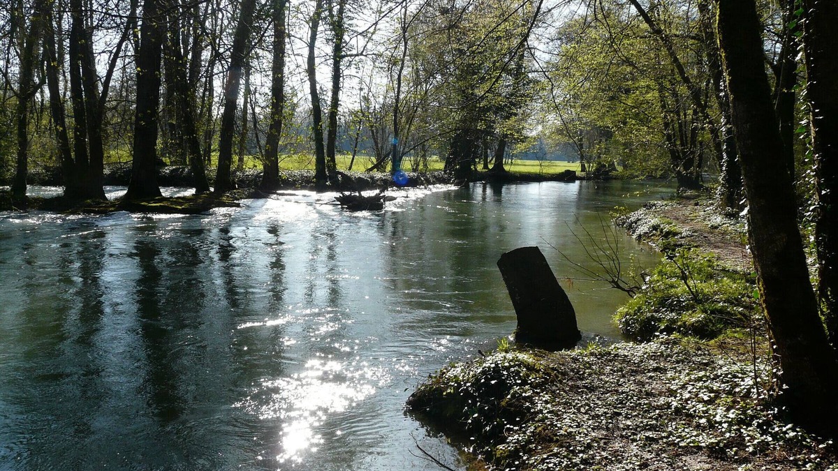 Saudrupt Cottage | Gite Saudrupt, 3 bedrooms, 5 persons