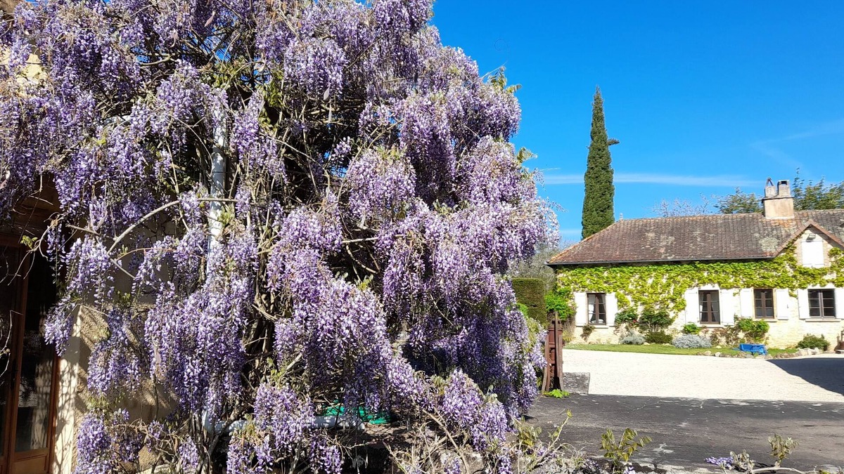 Marminiac Cottage | Gite Tout Confort Pour 7 Personnes Avec Terrasse et 2 Piscines,