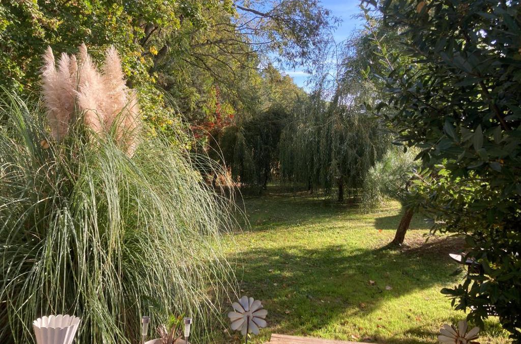 Louhans House | GITE Voie Verte , jardin, CV LOUHANS