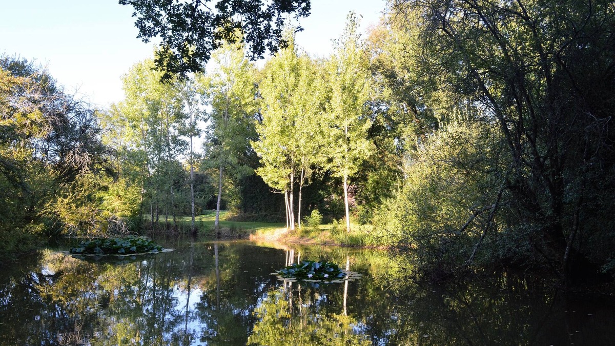 Savigne Cottage | Gite with private pool in savigné