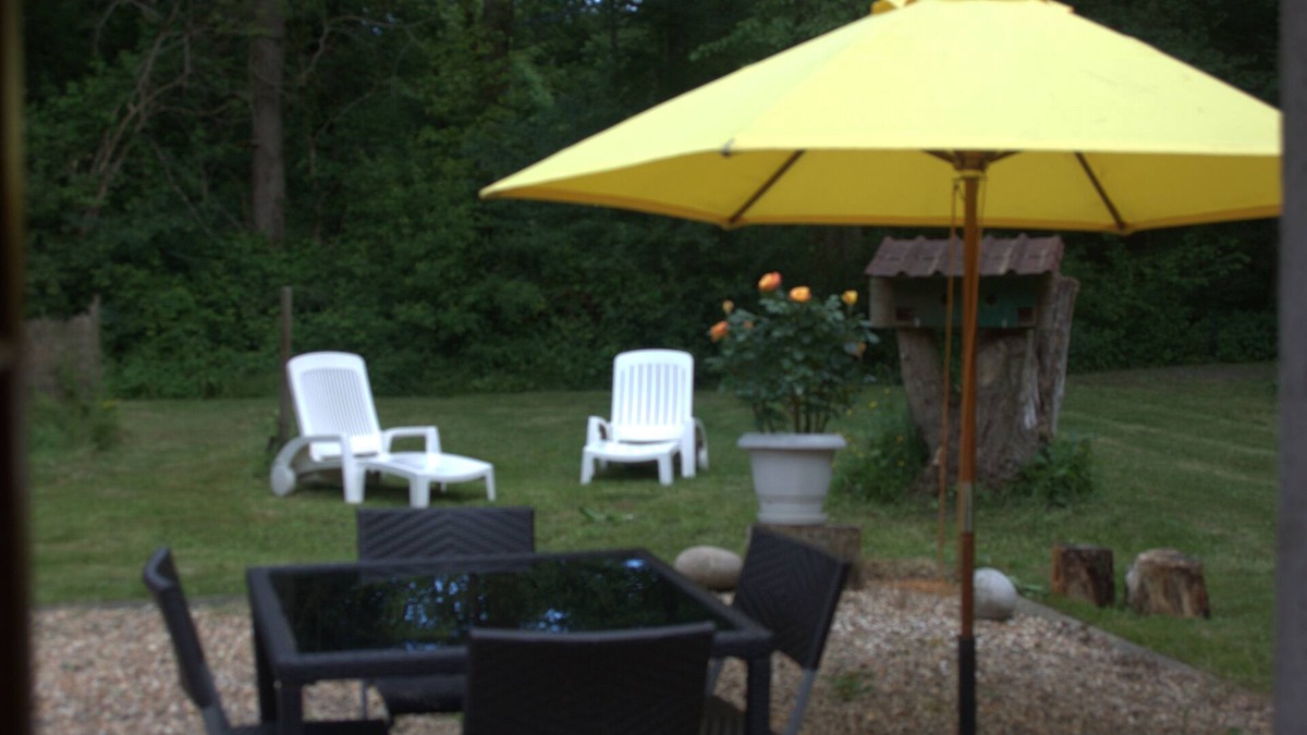 Amboise House | GITE WITH SWIMMING POOL in the heart of the Amboise forest, 5 minutes from Chenonceaux