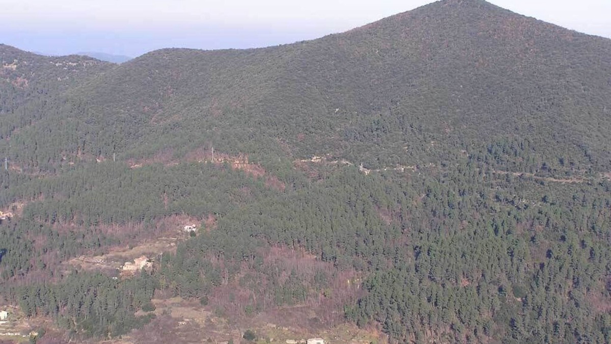 Le Martinet Apartment | Gites in the heart of the cevennes