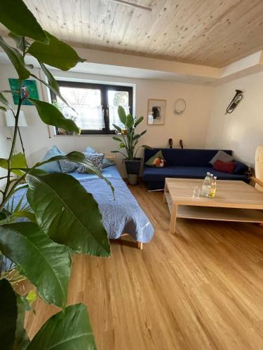 Wolfegg Apartment | Glücksmomente